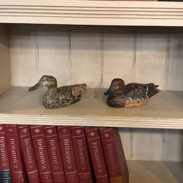 Duck decoys